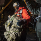 Illustration for article titled Check Out These Shots Of A C-17 Dropping Pararescuemen Over The Navy's Arctic Outpost